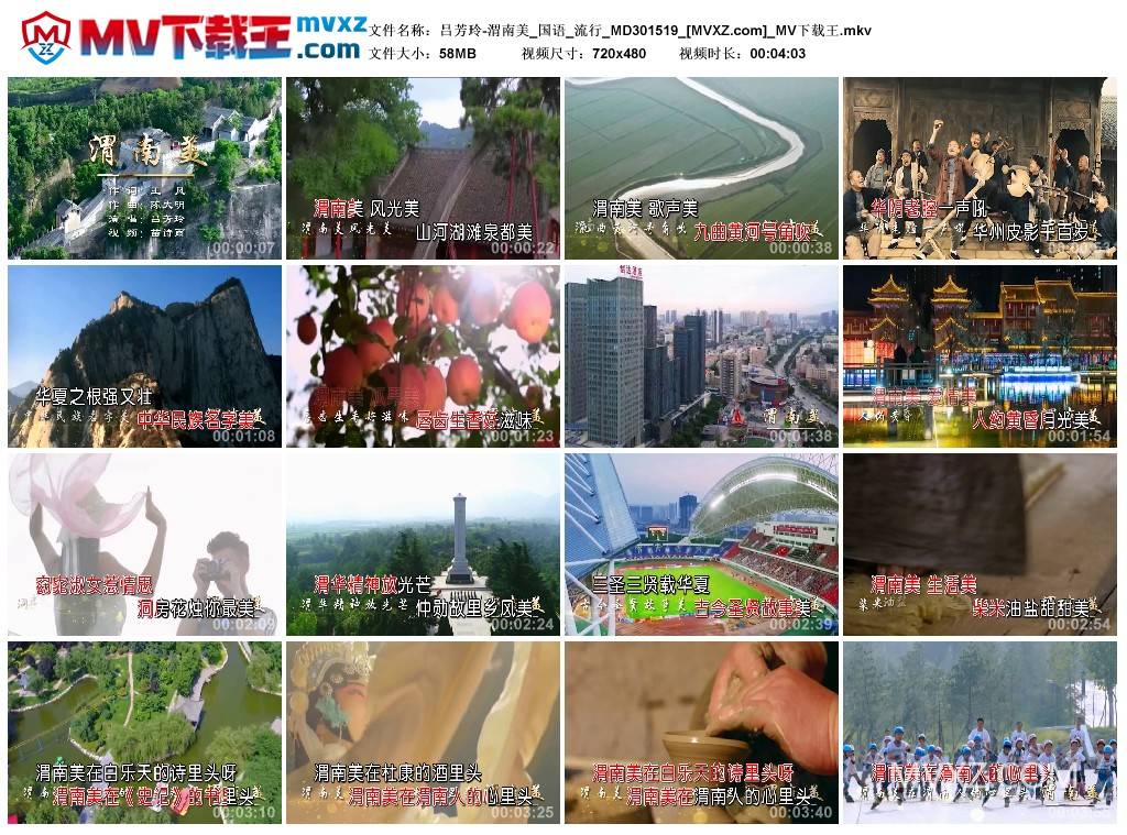 吕芳玲-渭南美_国语_流行_MD301519